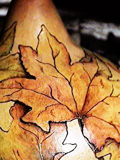 Leaves Image #2