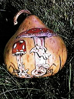 amanita gourd image #1